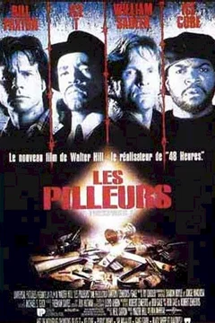 Affiche du film Les pilleurs