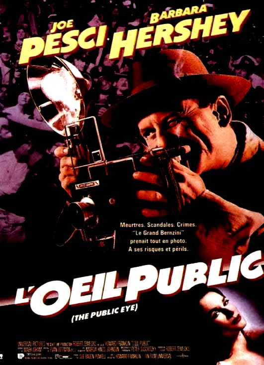Affiche du film : L'oeil public