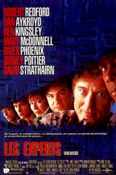 Affiche du film Les experts