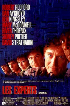 Affiche du film : Les experts