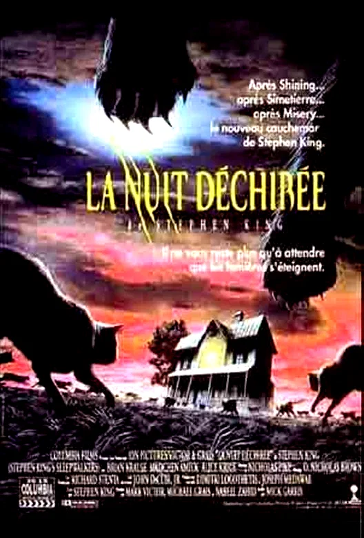 Affiche du film : La Nuit déchirée
