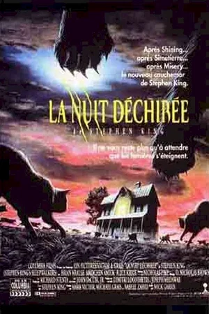 Affiche du film : La Nuit déchirée