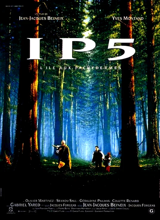 Affiche du film : IP5
