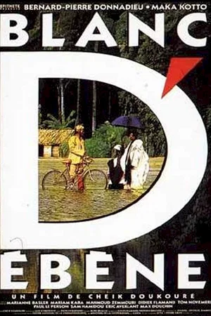 Affiche du film : Blanc d'ébène