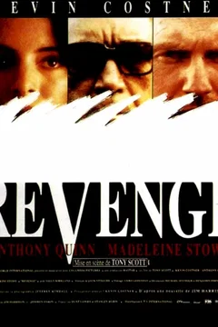 Affiche du film Revenge