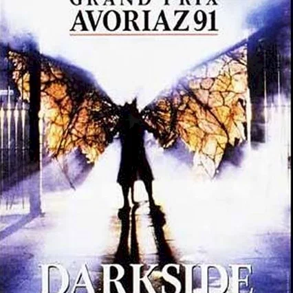 Miniature photo du film : Darkside les contes de la nuit noire