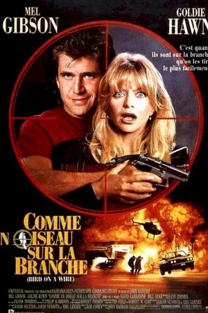 Affiche du film : Comme un oiseau sur la branche