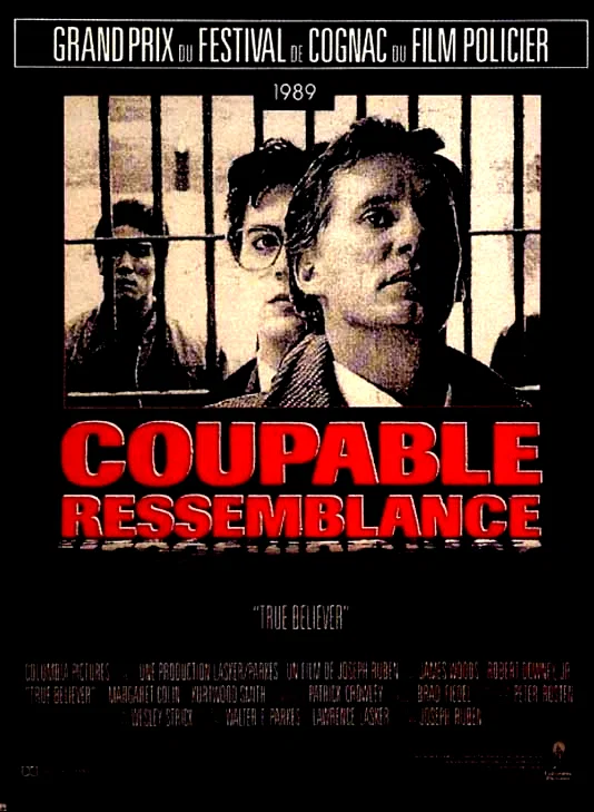 Affiche du film : Coupable ressemblance
