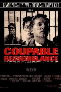 Affiche du film = Coupable ressemblance