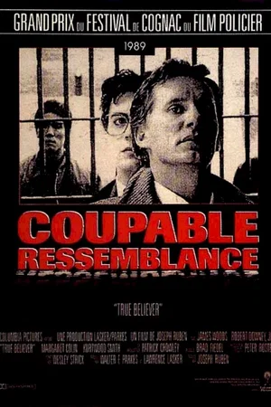 Affiche du film : Coupable ressemblance