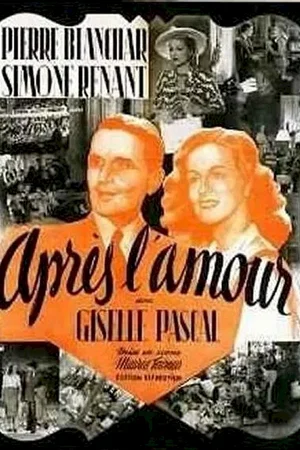 Affiche du film : Apres l'amour