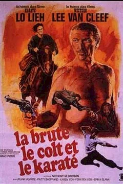 Affiche du film = La brute le colt et le karate