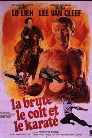 Affiche du film : La brute le colt et le karate