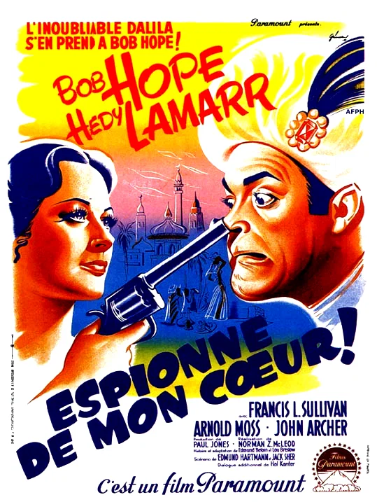 Affiche du film : Espionne de mon coeur