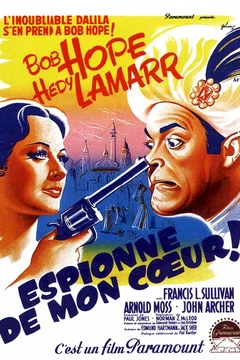 Affiche du film Espionne de mon coeur