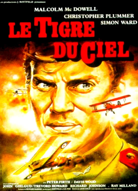 Affiche du film : Le tigre du ciel