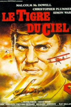 Affiche du film Le tigre du ciel