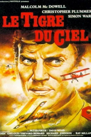 Affiche du film : Le tigre du ciel