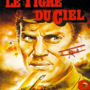 Photo du film : Le tigre du ciel