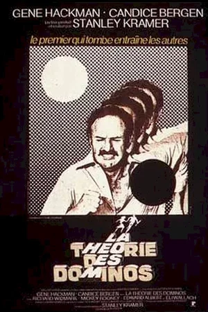 Affiche du film : La theorie des dominos