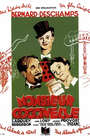 Affiche du film : Monsieur coccinelle