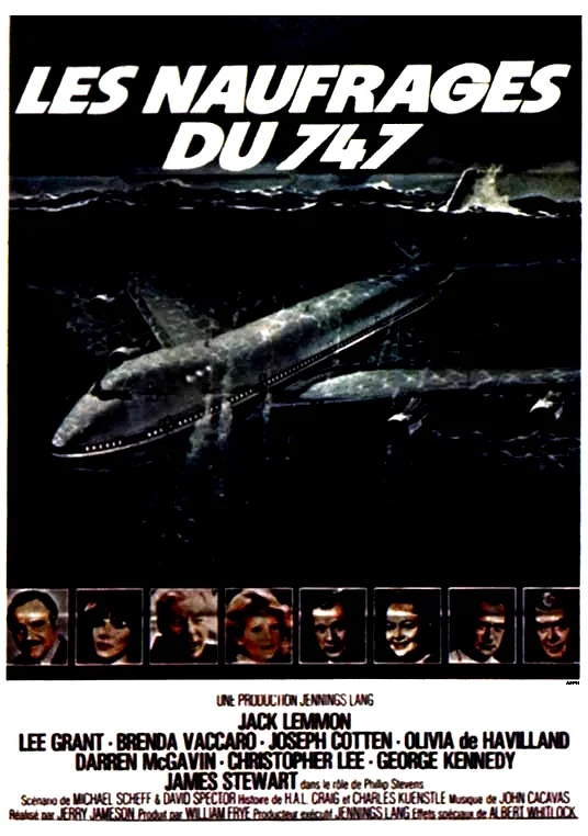 Affiche du film : Les naufrages du 747