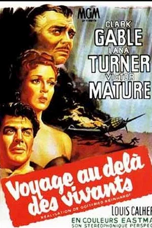 Affiche du film : Voyage au-dela des vivants