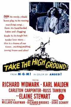 Affiche du film Sergent la terreur