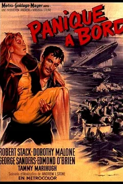 Affiche du film Panique a bord