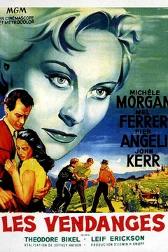 Affiche du film Les vendanges