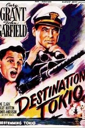 Affiche du film : Destination tokyo