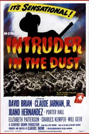 Affiche du film : L'intrus