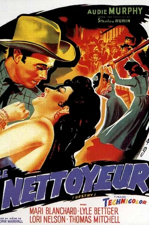 Affiche du film : Le nettoyeur