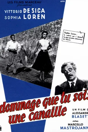 Photo 1 du film : Dommage que tu sois une canaille