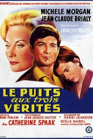 Affiche du film : Le puits aux trois verites
