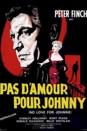 Affiche du film : Pas d'amour pour johnny