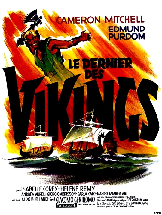 Affiche du film : Le dernier des vikings