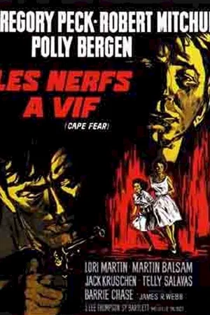 Affiche du film : Les nerfs a vif