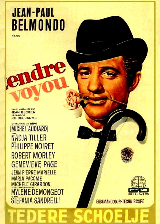 Affiche du film : Tendre voyou