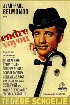 Affiche du film Tendre voyou