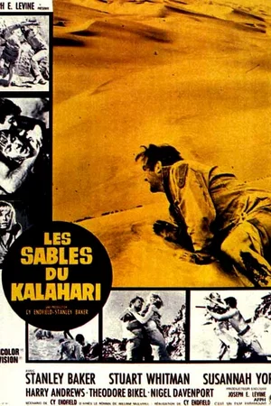 Affiche du film : Les sables du kalahari
