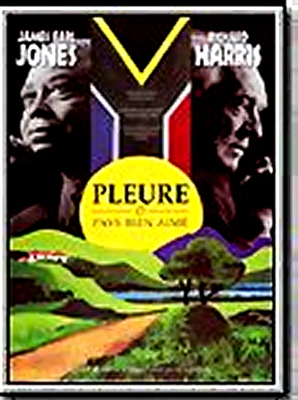 Affiche du film : Pleure o mon pays bien aime