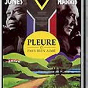 Photo du film : Pleure o mon pays bien aime