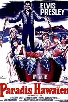 Affiche du film Paradis hawaien