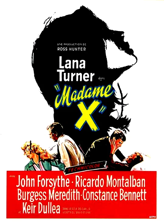 Affiche du film : Madame X