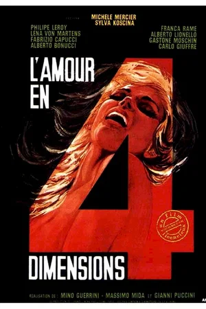 Affiche du film : L'amour en quatre dimensions