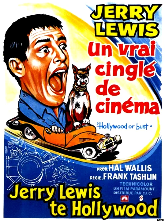 Affiche du film : Un vrai cinglé du cinema