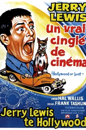 Affiche du film : Un vrai cinglé du cinema