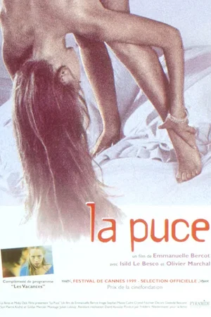 Affiche du film : La puce