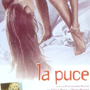 Photo du film : La puce